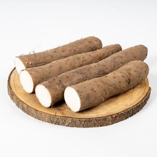 안동 마 장마 생마 참마, 장마 상품 3kg, 1개