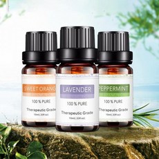 천연 아로마 에센셜 오일 5종 세트 10ml 홈케어 힐링 선물 UGL12269053 업타운글로, 유칼립투스 10ml (1개), 1개, 유칼립투스