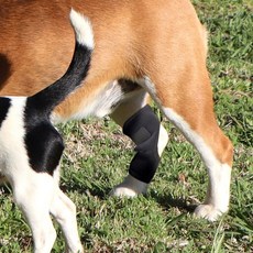 슬개골 강아지 무릎 보호대 스포츠 강아지 관절 보호대 대형견 뒷다리 슬개골 강아지 무릎 보호대 스포츠 강