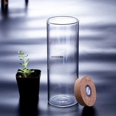 軟木塞帶燈直筒玻璃瓶 LED燈圓柱花瓶 發光玻璃許願瓶 帶燈水培植物玻璃瓶 微景觀生態瓶魚缸器皿鬥魚瓶, 8.5*12cm,帶暖白燈串木塞