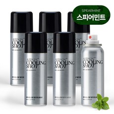 에어시스 휴대용 신발 탈취제 쿨링샷 본품 스피어민트향, 80ml, 6개
