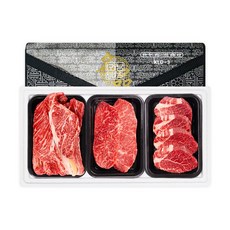 [프레시데이] 1등급 명품 암소 한우선물세트, 등심+채끝+특수, 1세트, 1.2kg