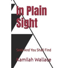 (英文圖書)In Plain Sight: Seek And You Shall Find 平裝版, Independently Published, 英文