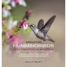 (英文圖書)Amazing Hummingbirds You Can Find in Arizona 精裝版, B&ib Publishers, 英文