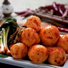 [권상순김치] 총각김치 - 25년이상 경력 김치장인의 손맛, 5kg, 1개