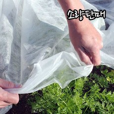 에스몰 마늘부직포 마늘밭 농업용 텃밭용 서리방지부직포 냉해방지 월동용 피복, 1개