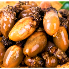 [특가] 통영 산지직송 제철 미더덕 생물 미더덕, 1개, 미더덕 1kg