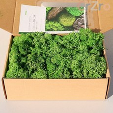 모나코플라워 모스이끼 썸머그린 200g 테라리움 조경 화분장식