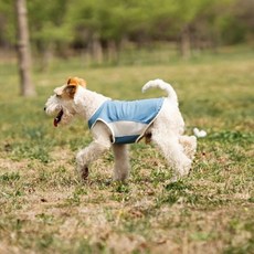 강아지옷 티셔츠 나시, 1개, 사파이어 블루