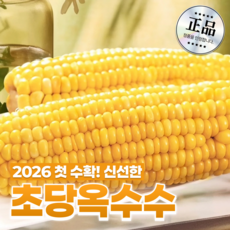 산지특품 애플 초당옥수수 달큰톡톡 옥수수, 1세트, 애플초당옥수수 특품 5개