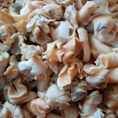 대진수산 자연산 손질 골뱅이 500g, 1개