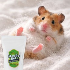 소동물 목욕 파우더 먼지없는모래