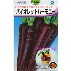 野菜部屋 紫金胡蘿蔔種子 多彩鮮豔品種, 1包