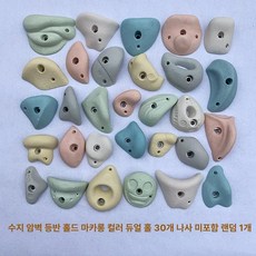 클라이밍홀드 암벽홀더 35개 나사미 클라이밍홀더 구멍 실내암벽, 마카롱 더블홀 레진 랜덤