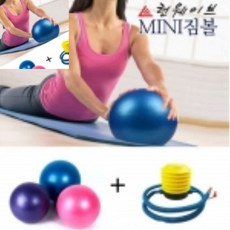런웨이브 미니짐볼 펌프 세트 다이어트 운동 스트레칭 재활운동, 미니짐볼펌프세트 블루