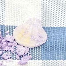 온지니엘 인어발굴키트 낱개 화석발굴놀이