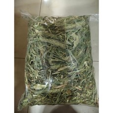 毛孩專屬牧草堂 提摩西/苜蓿/燕麥/甜小麥/百慕達草, 1個, 甜小麥1kg, 1kg