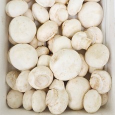 GAP 양송이버섯 혼합세트 국내산 산지직송 다양한구성, 1개, 2kg