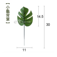 日皇仿真樹葉 拍照道具 韓國極簡ins攝影背景擺飾, 1個, 小號龜背葉