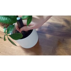 IKEA CHILIPULVER 澆水感應器 綠色, 1個