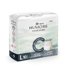 테나 언더웨어 노말 대형L 10매 x 1팩 / 팬티형 성인기저귀, 1개, 10개입, 대형