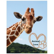(영문도서) Animal Love: A picture book for Seniors with dementia or Alzheimer's patients. Cute photos of... Paperback, Gray Feather Publishing, English, 9798869121301