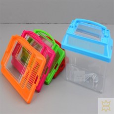 3보급창고 곤충 채집통 소형 도마뱀채집통