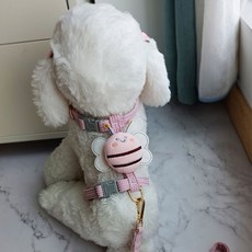 반려동물 앞섬방지 하네스 리드줄 세트, M퍼플