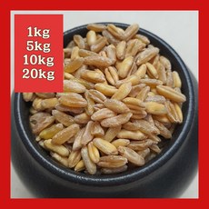 2025년 햇곡 국산 호라산밀 1키로 5키로 10키로 20키로 _ 건강한 곡물은 나를 위한 최고의 투자입니다, 1개, 1kg