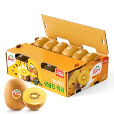 제스프리 썬골드키위 선물용 스페셜패키지, 1박스, 개별 120g내외 26개입