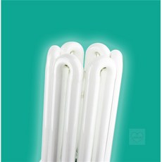 COCOJU 삼파장 100W 주광색 거실전구스타일 아파트거실전구 화장실전구