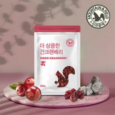 산과들에 건크랜베리, 500g, 1개
