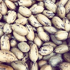 帶殼胡桃 (生的) 600g/1斤, 1個, 一斤/600克