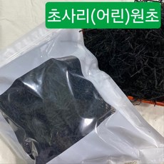 남해특산 초사리 돌미역/(한정특가판매)건미역, 500g, 1개