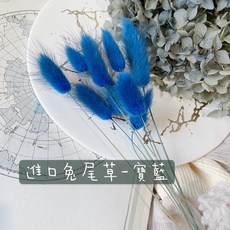 進口不凋兔尾草 夏季乾燥花束 花材 新娘秘書 永生花 卡斯比亞 玫瑰 蠟燭 桌花, 馬卡龍新色