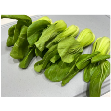 국내산 청경채 4kg 한박스 야채 식재료 샤브샤브 중국배추, 1박스