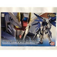 RG(리얼그레이드)1/144 프리덤 건담 엑스트라 피니시 Ver. 프라모델 (건프라 EXPO 월드 투어 재팬 2012 한정), 1개