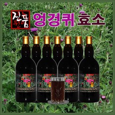 장녹원 엉겅퀴효소 1L(1000ml), 2개, 1L