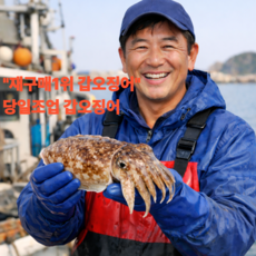 재구매1위 국내산 갑오징어 프리미엄 특품, 1박스, 500g (꼬마)