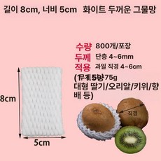 과일포장망 딸기망 사과망 완충제 딸기 배망 자몽 비파, 큰딸기오일키위오리알 두꺼운 8x5 800개, 1개, 화이트