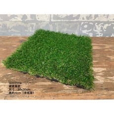G00200a 硬底草皮 30x30cm 高約4cm, 1個