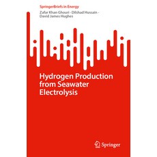 (영문도서) Hydrogen Production from Seawater Electrolysis Paperback, Springer, English, 9783031734410