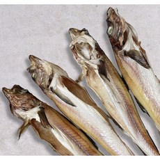 속초 바다에서 반건조 코다리 명태 깔끔이 코다리조림 찜 깨끗이 손질한 명태, 8개, 8kg내외