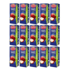 코스트코 후버 사과 주스, 200ml, 15개