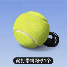 網球訓練器單人帶線回彈自練神器，成人、兒童適用, YSD01-帶線網球, 1個
