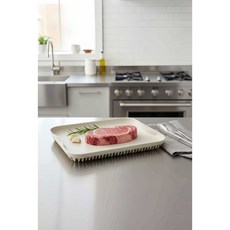 杉山金屬 料理用 多功能 神奇快速解凍板-大- 快速解凍的秘密 5倍速度 冬天必備 解凍皿 解凍盤, 白, 1個
