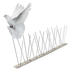 스테인레스 비둘기퇴치 버드스파이크50cm 10PCS세트, 10개, 스테인레스50cm