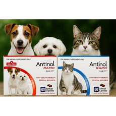 貓狗共用 骨關節保養 安適得 酷版60錠 (序號會刮除), 1個, 狗 2026/10（犬貓共用）