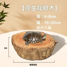 天然龍眼木 烏龜曬台 養龜休息曬背台, 1個, 中水位 高6-8cm寬15-20cm
