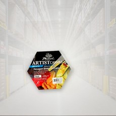 티엔에스 아티스트 정육각형 캔버스 30cm 피닉스 회화용 1개